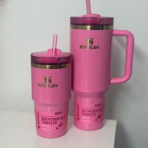 Stanley Pink Wicked Duo